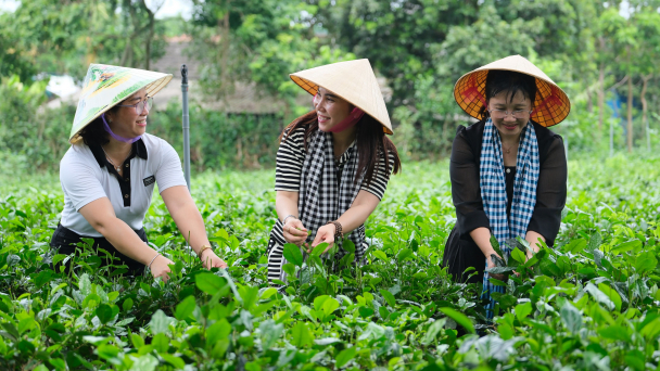 Đại biểu Quốc hội miền Tây trải nghiệm du lịch nông thôn Bắc bộ
