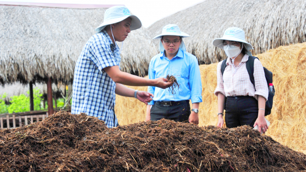 Làm phân hữu cơ từ rơm rạ góp phần bảo vệ môi trường