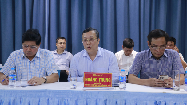 Cần dành nguồn lực phát triển cây sắn