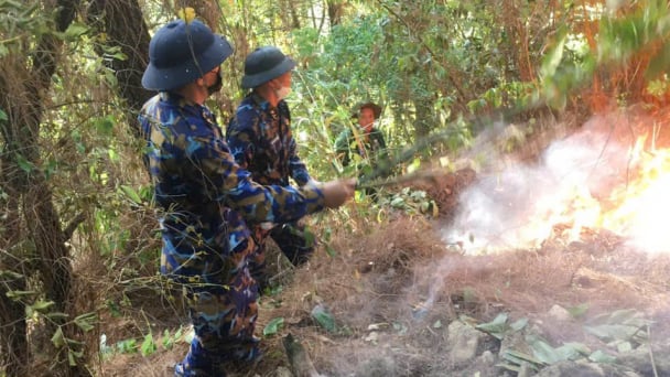 Cháy rừng tại Núi Bàng