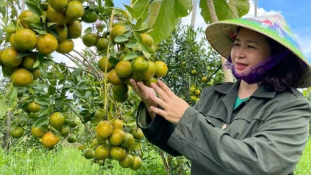 Đăk Nông bứt phá