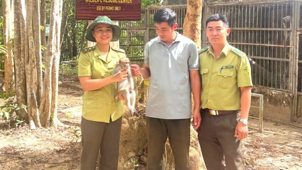 Kon Tum tiếp nhận cá thể khỉ đuôi dài quý hiếm