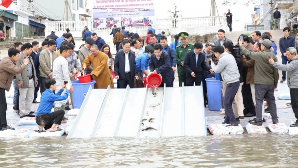 Nam Định thả hơn 1 triệu cá giống xuống sông Hồng