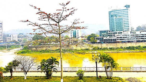 'Phủ xanh' hàng nghìn kilomet đường để phát triển du lịch