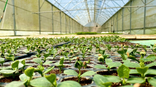 Những mầm xanh vươn lên từ vùng đất khắc nghiệt