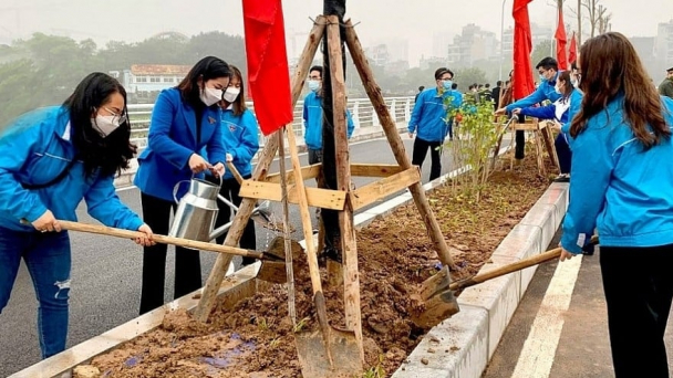 Hà Nội trồng mới 700 nghìn cây xanh và hàng chục ha rừng