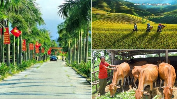 Xây dựng cơ sở dữ liệu về 3 Chương trình mục tiêu quốc gia