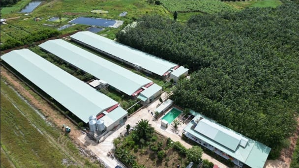 Green livestock farming trend: Reducing emissions while protecting the environment