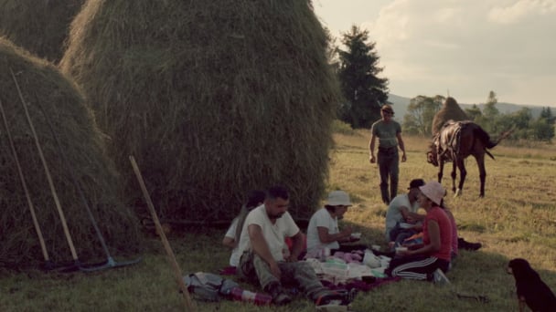Big, biodiverse and beautiful: can Romania’s centuries-old giant haystacks survive modern farming?