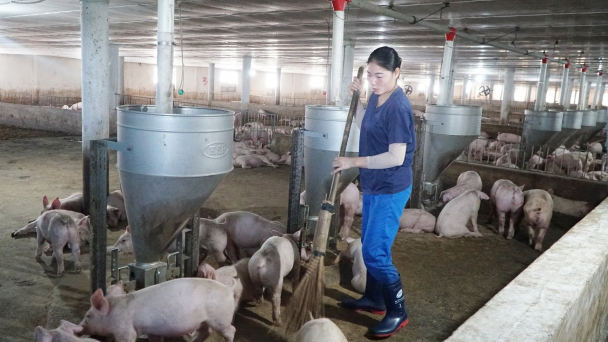 Đề xuất tăng nhập khẩu nông sản từ Mỹ giữa trở ngại thuế quan