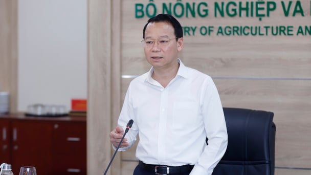 Sẵn sàng cho kịch bản Hoa Kỳ không đàm phán giảm thuế