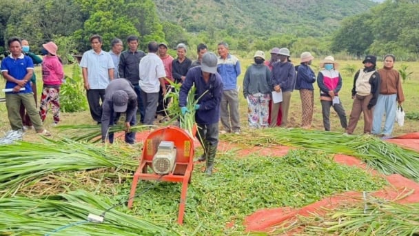 Chuyển giao mô hình phát triển đồng cỏ và ủ chua thức ăn chăn nuôi