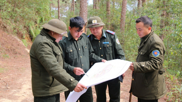 Yên Bái ‘báo động đỏ’ cháy rừng