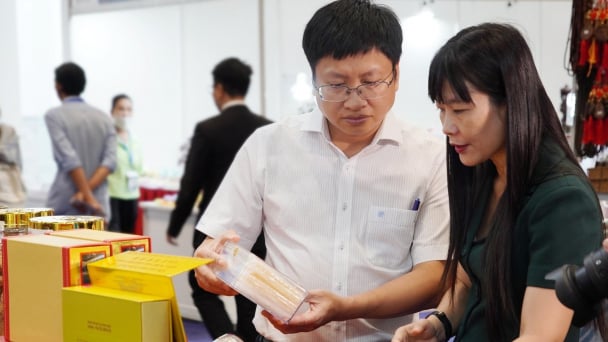 Xây dựng thương hiệu yến Việt: [Bài 1] Vươn tầm thế giới