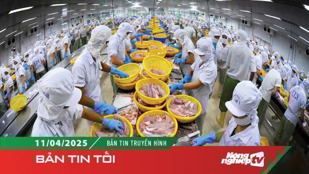 Ngành thủy sản phấn đấu tăng trưởng 3-4% mỗi năm