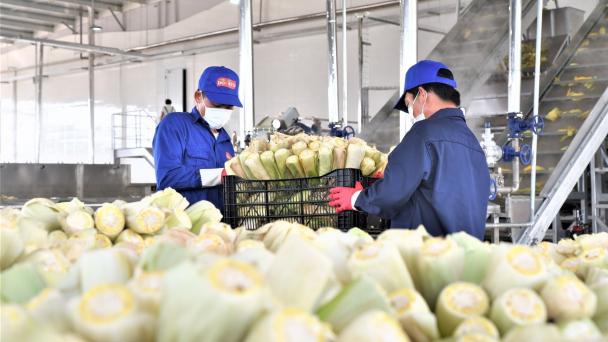 Thực hành trách nhiệm xã hội giúp doanh nghiệp phát triển bền vững