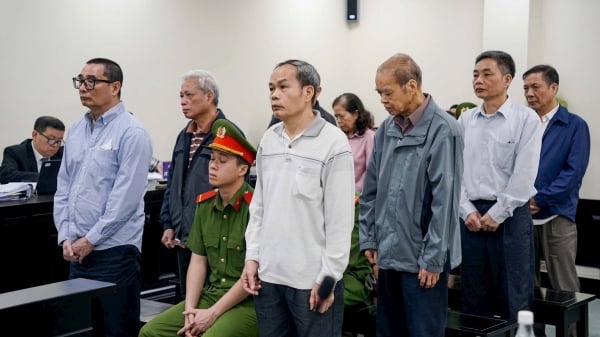 Xét xử cựu lãnh đạo Vinatea vì sai phạm nghiêm trọng trong sử dụng đất công