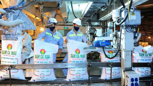 Sản lượng tiêu thụ NPK vượt bậc, PVCFC ghi dấu ấn mạnh mẽ quý I/2025