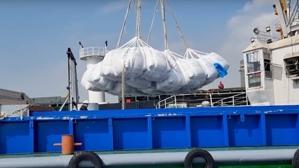 3 lợi thế lớn giúp gạo Việt Nam giữ vững thị trường Philippines