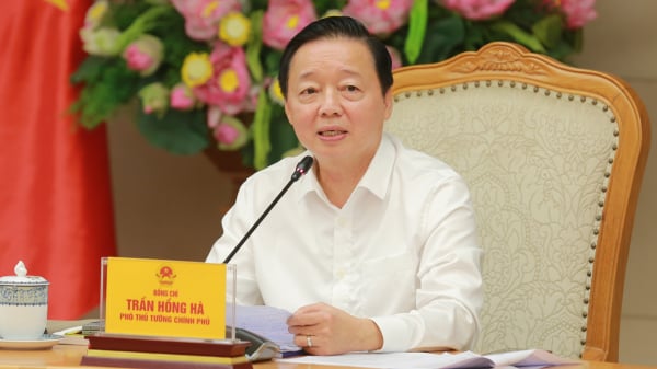 Xác định lĩnh vực, tiêu chí cho dự án tín dụng xanh, trái phiếu xanh