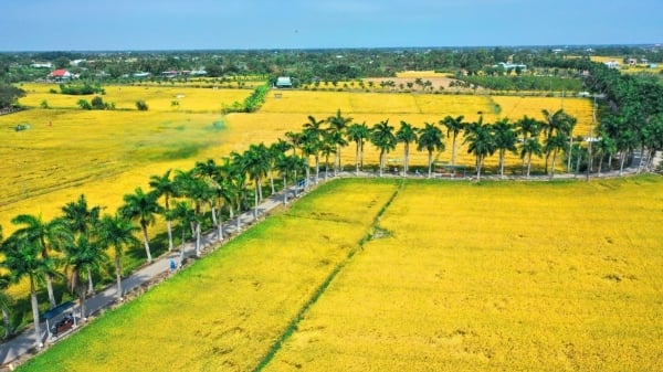Tiềm năng phát triển du lịch sinh thái ở Long An