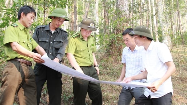Chủ tịch tỉnh Yên Bái chỉ đạo hỏa tốc phòng cháy chữa cháy rừng