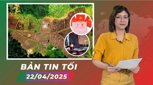 Giải pháp trong quản lý đấu giá đất hiện nay
