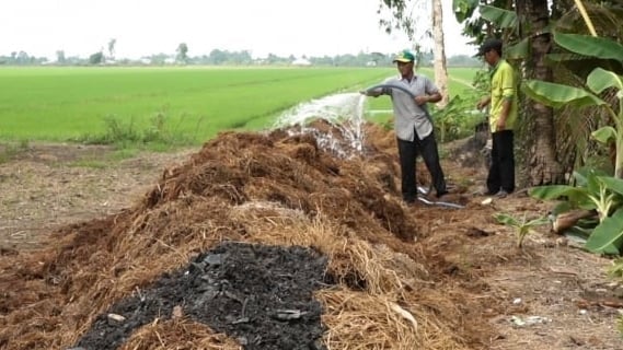 Biến rơm rạ thành phân, nông dân thu thêm 2 triệu đồng/ha