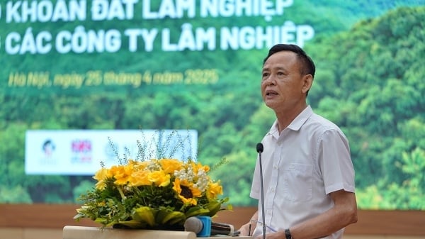 Không để người làm rừng thiệt thòi ngay từ trong chính sách