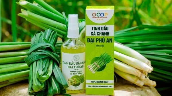 Sản phẩm tinh dầu của Yên Bái được đề xuất đạt OCOP 5 sao