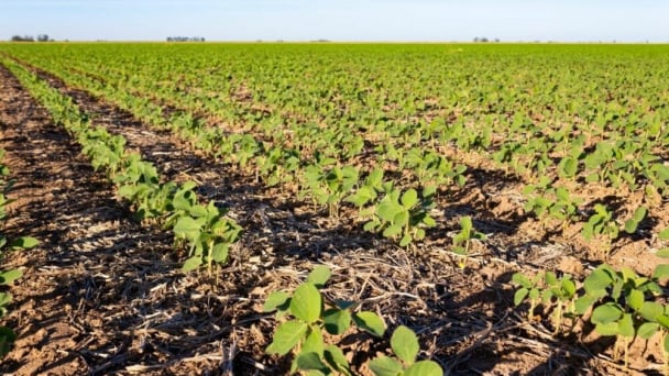 Viterra carbon program achieves soy landmark