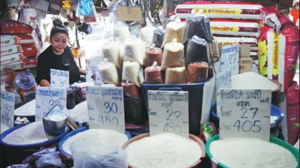 Thai rice faces tough times amid levies