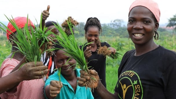 Africa launches system to improve food security