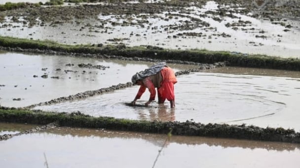 Fears among India’s farmers rise over US food imports crossing ‘red line’