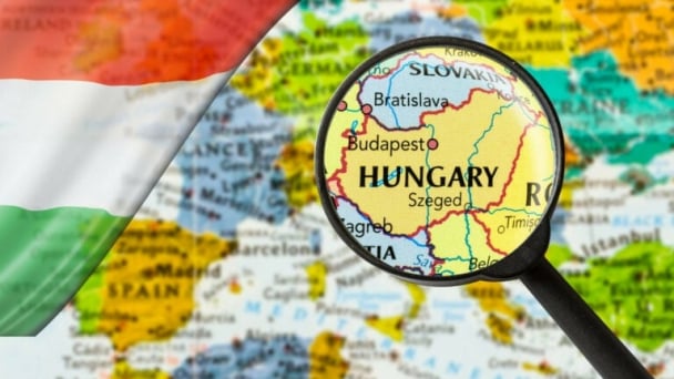 Hungary’s poultry sector poised to strengthen position on European market