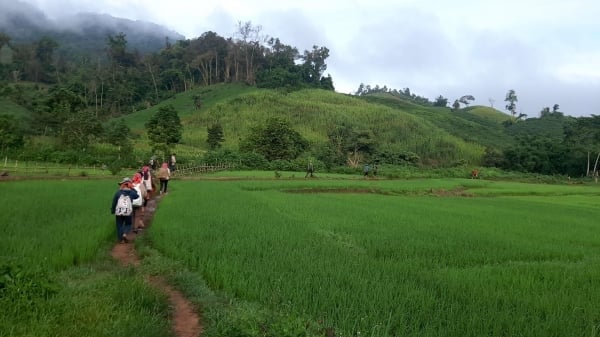 5 key expectations for upgrading Muong Nhe Nature Reserve to National Park