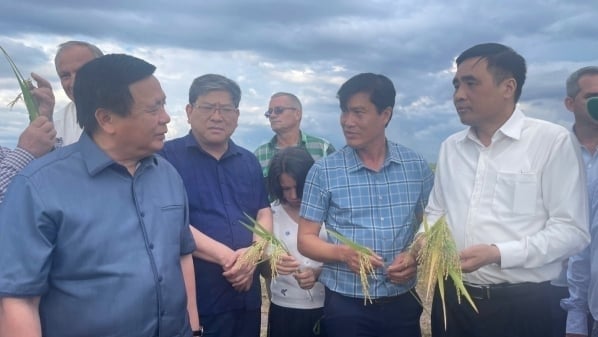 Vietnam stands ready to accompany Cuba in achieving food security and self-sufficiency