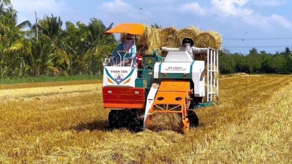 Phan Tấn khơi mở vòng tuần hoàn xanh từ rơm rạ ở ĐBSCL