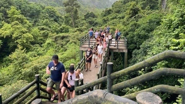 Du lịch sinh thái hòa vào thiên nhiên, tìm lại chính mình