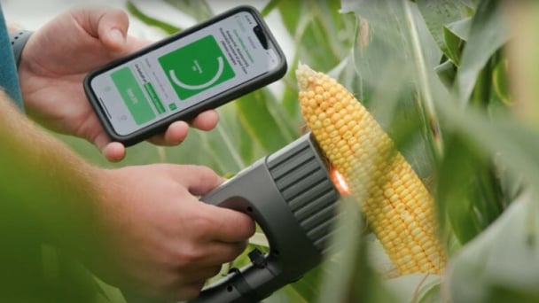 Translating poultry gut health science into on-farm solutions