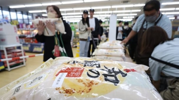 41% of Japanese rice farmers expect price drop in 2026