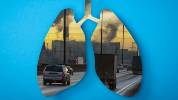 Researchers find how pollution hampers lung function and how to reverse it