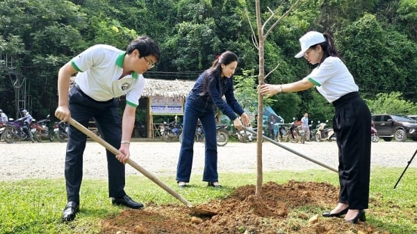 Giảm nhựa để kiến tạo lối sống xanh