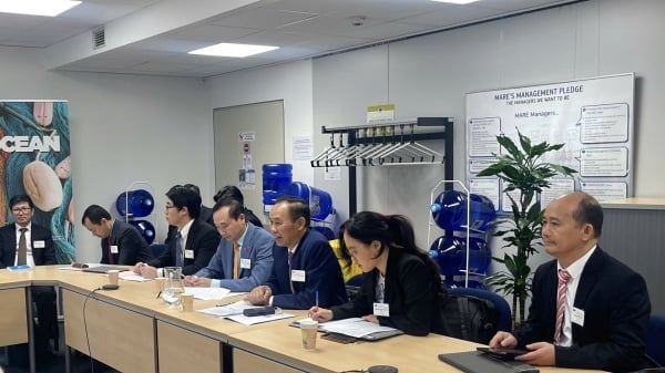 Ủy ban châu Âu đồng hành cùng Việt Nam phát triển nghề cá bền vững