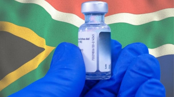 South Africa’s poultry sector prepares for mass avian influenza vaccination