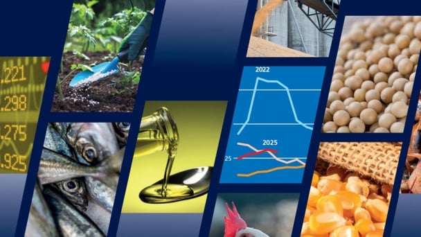 Global output of key food commodity crops on course for new records