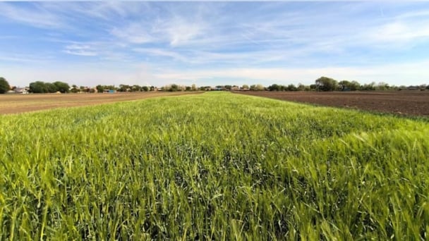 Experimental farm uses innovative method to save over a billion gallons of water