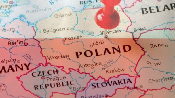 New outbreaks of Newcastle disease wreak havoc on Poland’s poultry industry