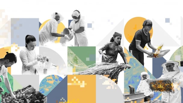FAO investment centre annual review: a look back at 2024