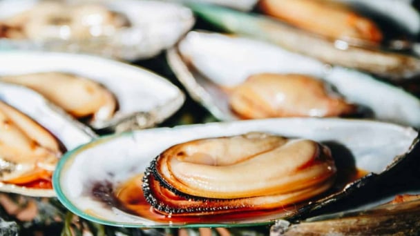 Microplastics permeate global seafood supplies